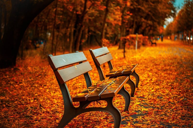 Meditation Bench