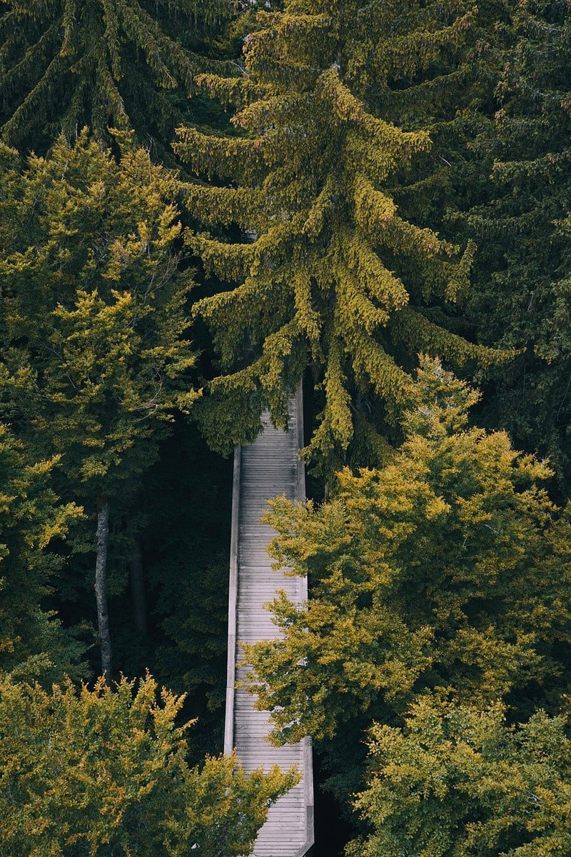 Walking in nature